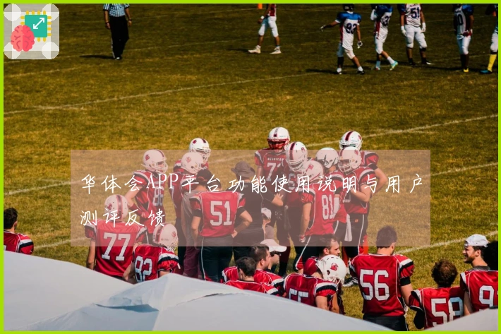 华体会APP平台功能使用说明与用户测评反馈